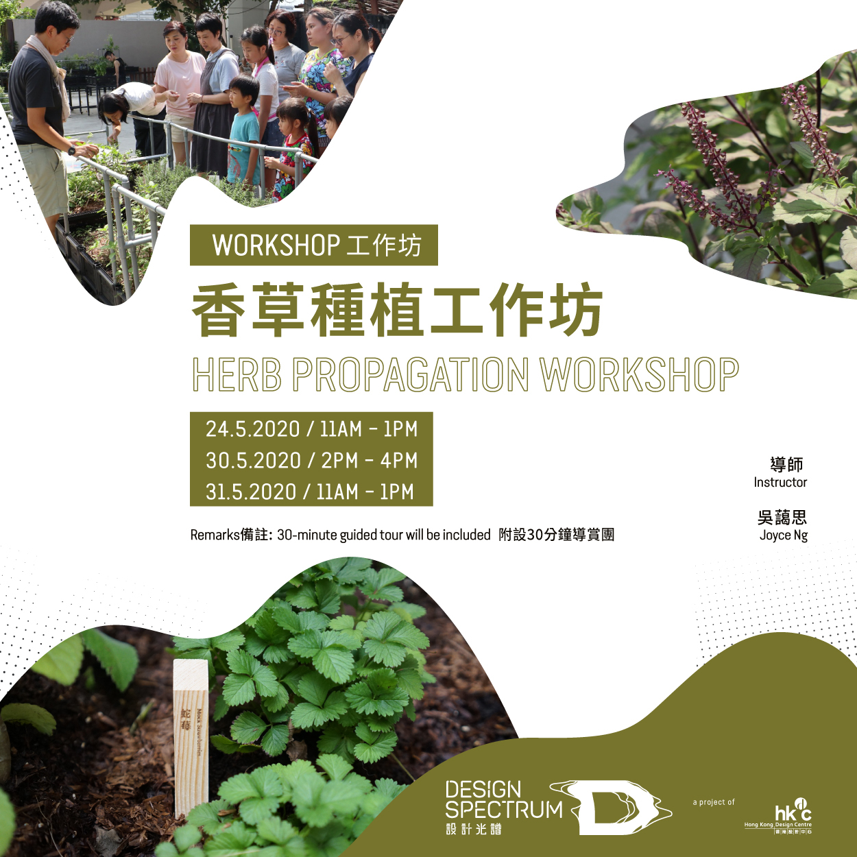 Design Spectrumherb-propagation-workshop