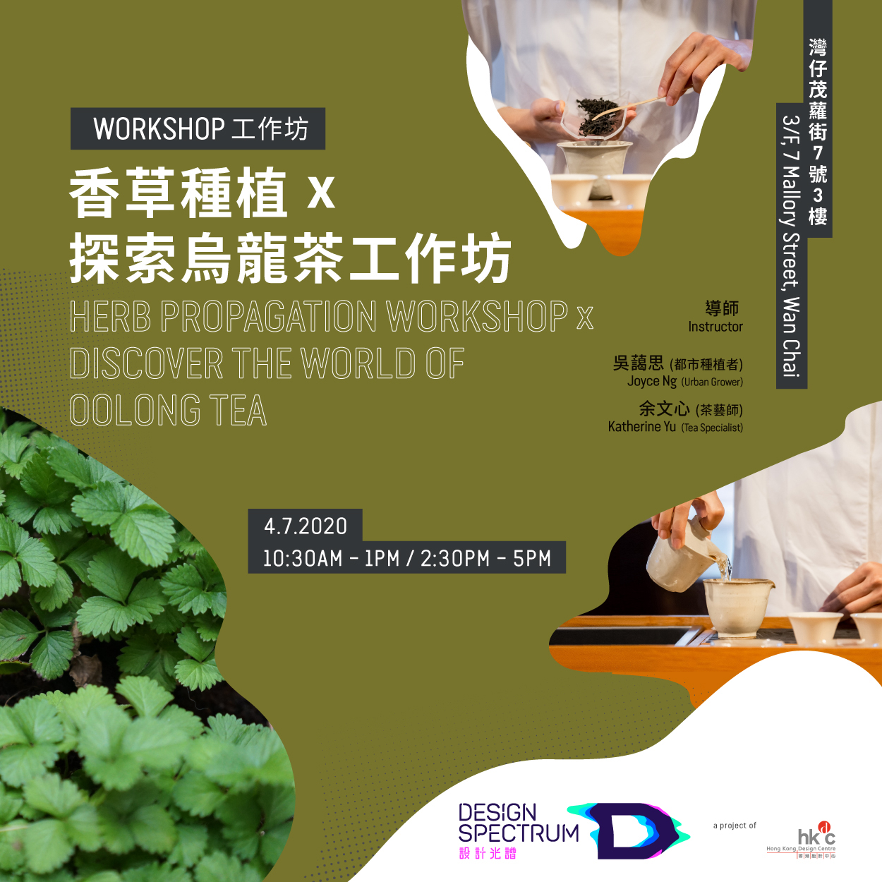 Design Spectrumherb-propagation-workshop-x-discover-the-world-of-oolong-tea