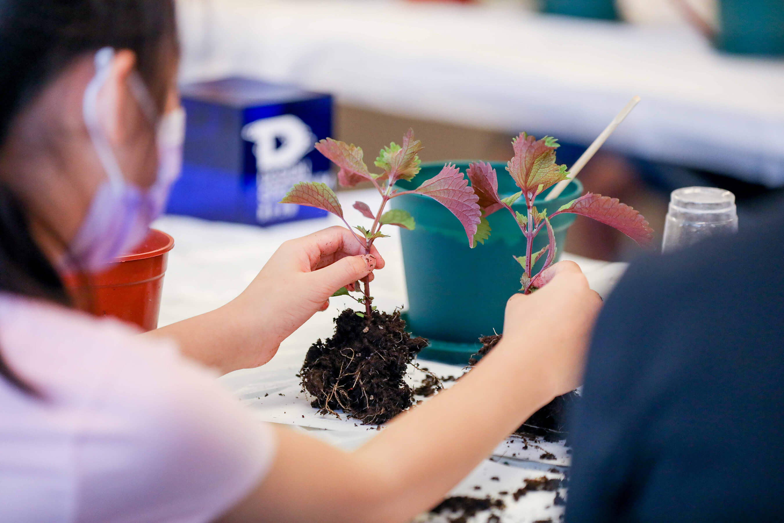 Design Spectrum 設計光譜 - Herb Propagation Workshop